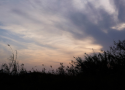 家路につく前に