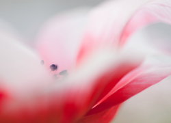 迷い込んだのは