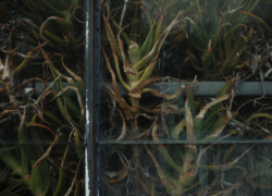 閉じ込められた世界　其の弐