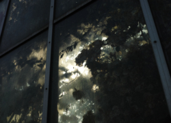 閉じ込められた世界 其の参