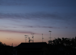 アンテナと名残りの色