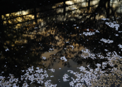 行屋泉に日は落ちて