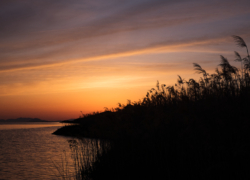 向こう岸の風景