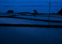 夜の色に溶けて