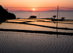 伊予灘に夕陽は落ちて