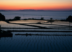 帰りたい、帰れない。