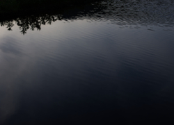 水面静まる