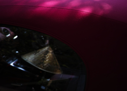 お裾分けの色彩