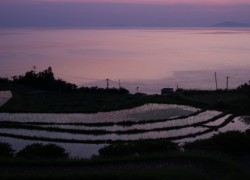 伊予灘は切なく暮れて