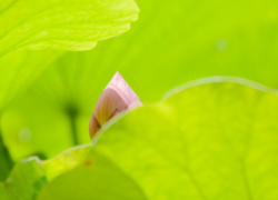 慣らし運転の一日
