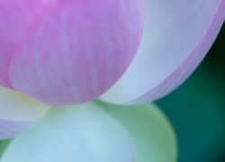 早朝写真のススメ