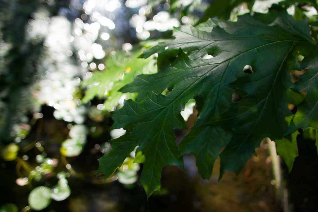 スッキリしたところで