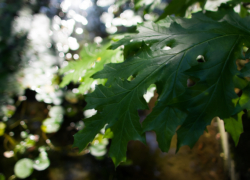 スッキリしたところで