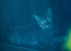 現実と幻想の狭間で