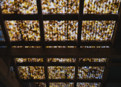 少しの幸運と落葉の屋根