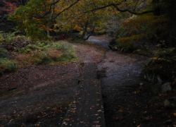 渓谷の雑感