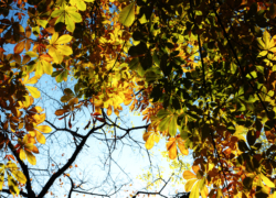 秋の空はステンドグラス