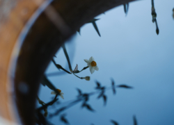 続・届かぬ想い