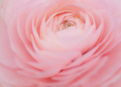 目が合って心惹かれて