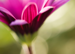 朝の光に照らされて