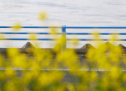 ファインプレー