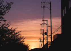 一年越しの出来栄え