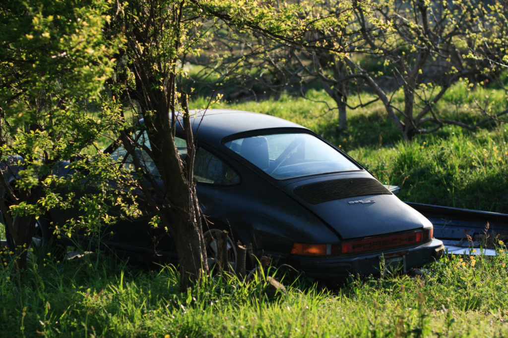 その名車は緑の中で時が止まる