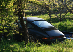 その名車は緑の中で時が止まる