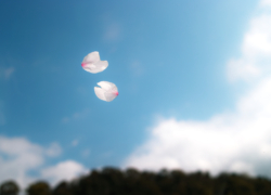 緊急停車のその理由