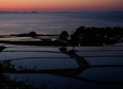 暮れ棚田の朧げ