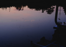 静けさの色と蛙の声