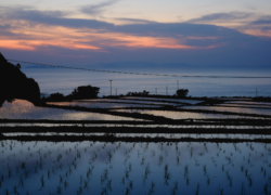 名残る色の印象