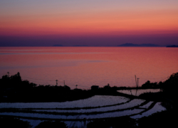 残照のグラデーション