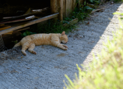 休息のひととき