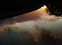 やってきたリフレクションの季節