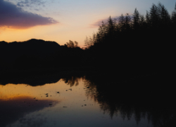 シンメトリーの誘惑