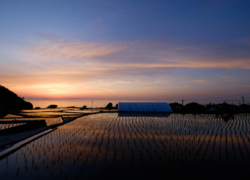 際会に染まる彩り
