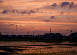 残照の時間を漂って