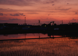広がらない距離