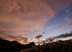 重い腰を上げて