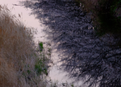 ちらっとだけの情景