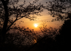 エンディングテーマ