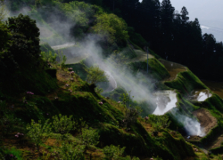 初夏の谷間に煙立つ
