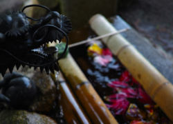 石段を駆け下りて