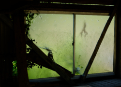 軽く廃墟系ならいい感じ