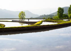 棚田写真の試行錯誤