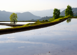 続・棚田写真の試行錯誤