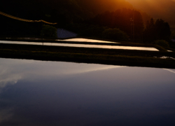 暮れ棚田の幽寂