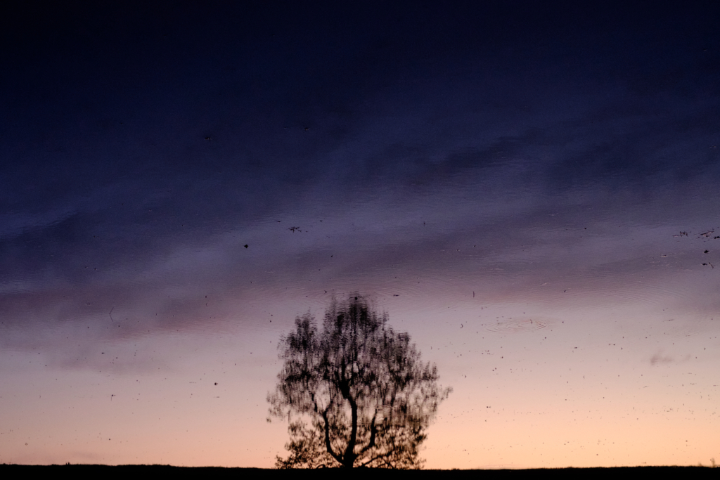 夕彩は水鏡に滲んで
