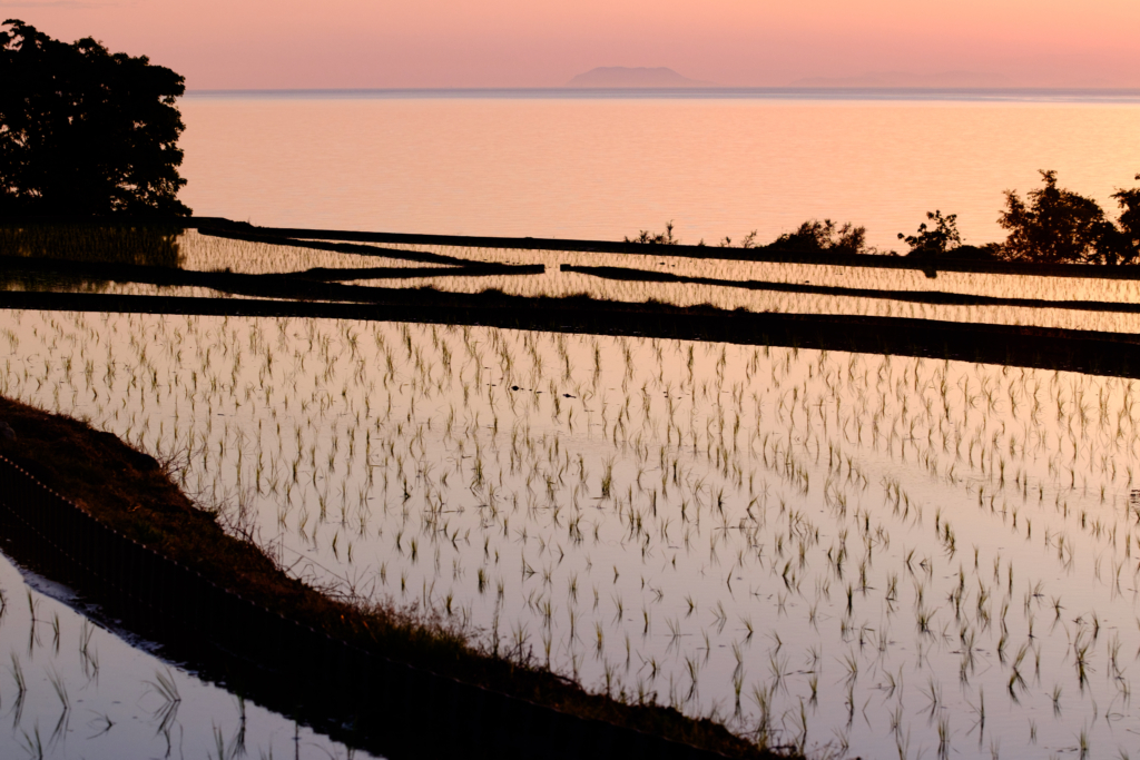 再会は棚田にて